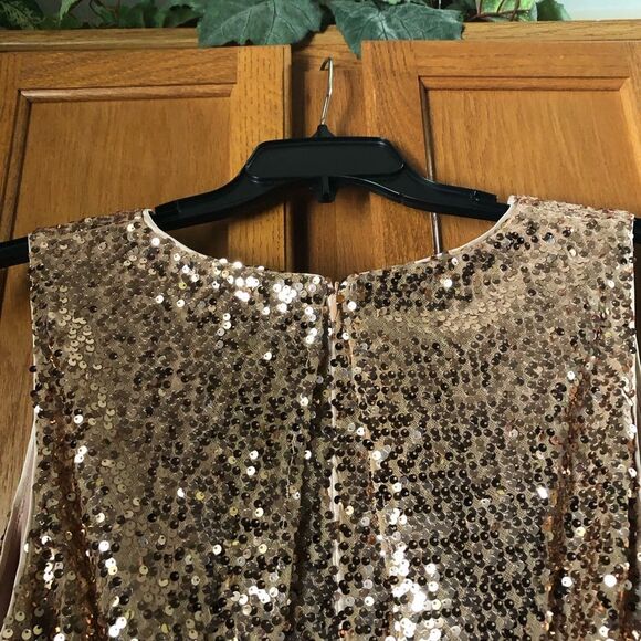 NWT Vince Camuto Sequin V-Neck Blouson Fit & Flare Dress Rose Gold Plus Size 14W - Picture 7 of 12